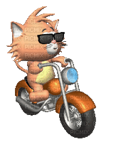 Kaz_Creations Animated Cat On Bike - Animovaný GIF zadarmo