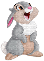 Kaz_Creations Cartoons Cartoon Thumper - png gratis