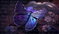 Butterfly - 無料png