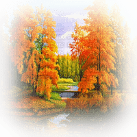 automne paysage foret autumn forest