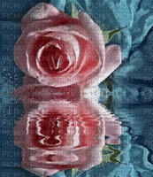 Rose am Wasser - GIF animado gratis
