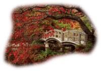 Background Herbst - ücretsiz png
