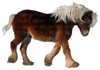 Kaz_Creations Animals Horses Horse - zadarmo png