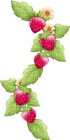 Strawberry Red Green Yellow Charlotte - Bogusia - png gratis