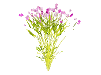 garden flower - GIF animate gratis
