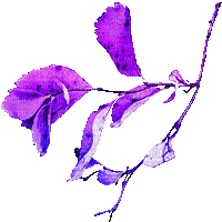 soave deco animated autumn branch liaves purple - Gratis animerad GIF