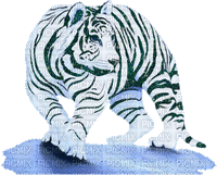 aze tigre  noir black blanc White - GIF animé gratuit