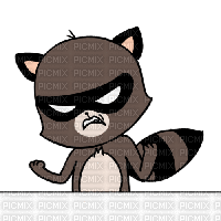 racoon angry - 免费动画 GIF