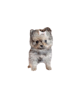 Pomeranian - фрее пнг