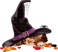 Halloween.Cat.Hat.Chat.chapeau.Victoriabea - PNG gratuit