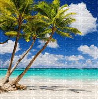 Rena Hawaii Hintergrund - gratis png