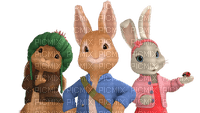Kaz_Creations Cartoons Peter Rabbit - png gratis