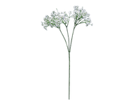 Flowers white bp - PNG gratuit