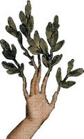 hand leaf - png gratis