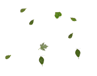 leaves bp - Ingyenes animált GIF