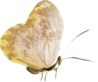 yellow-gul-butterfly-minou52 - png gratis