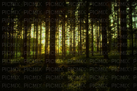 ani-skog-natur - Ilmainen animoitu GIF