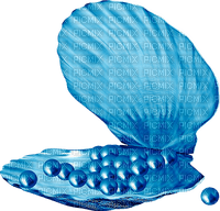 Seashell.Pearls.Blue - png grátis