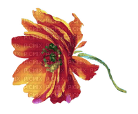 coquelicot.Cheyenne63 - 免费PNG