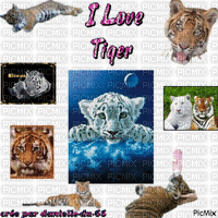 I Love Tiger - Animovaný GIF zadarmo