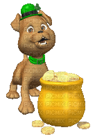 st patrick day dog gif chien - GIF animé gratuit