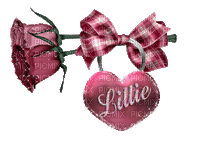 Name. Lillie - Zdarma animovaný GIF