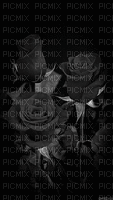 Black Rose - Ilmainen animoitu GIF