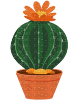 cactus Bb2 - zdarma png