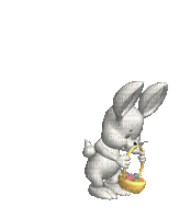 ani-hare-bunny - Δωρεάν κινούμενο GIF