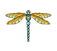 dragonfly - GIF เคลื่อนไหวฟรี