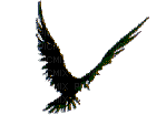 aves - Бесплатный анимированный гифка