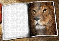 bg-frame-book-lion 400x279 - 無料png