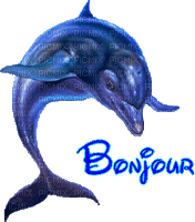 dauphin bonjour - Бесплатный анимированный гифка