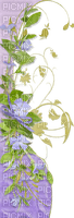 dolceluna frame flowers - Free PNG