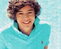 Harry Styles : One Direction - png grátis