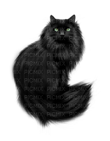 chat noir ** - PNG gratuit