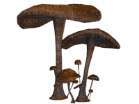 sysky, autumn, sieni, mushroom - nemokama png
