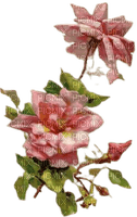 fleurs roses - nemokama png