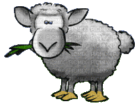 sheep schaf animal farm mouton - GIF animé gratuit