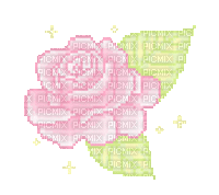 Pink Rose (Unknown Credits) - GIF animado gratis