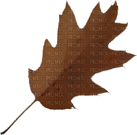 Brown Leaf-RM - Ilmainen animoitu GIF