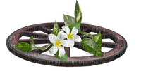 wheel flowers spring deco - PNG gratuit