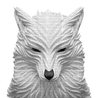 White Wolf - Free PNG