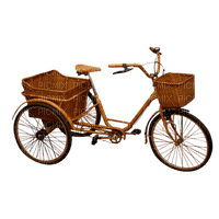 Kaz_Creations Bicycle Bike Trike - bezmaksas png