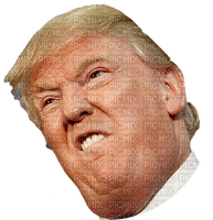 Kaz_Creations Donald Trump - kostenlos png