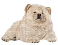 Kaz_Creations Dog-Pup - ilmainen png