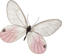 dulcineia8 borboletas - png grátis
