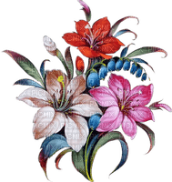 Цветы - png grátis