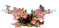 Flowers pink rose bp - Ücretsiz animasyonlu GIF