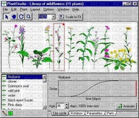 plants computer - zdarma png